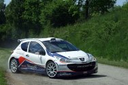 Rallye Český Krumlov: Test Peugeot Delimax Total Czech National Teamu